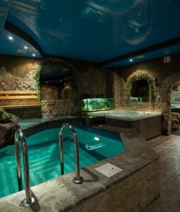 Невские звезды